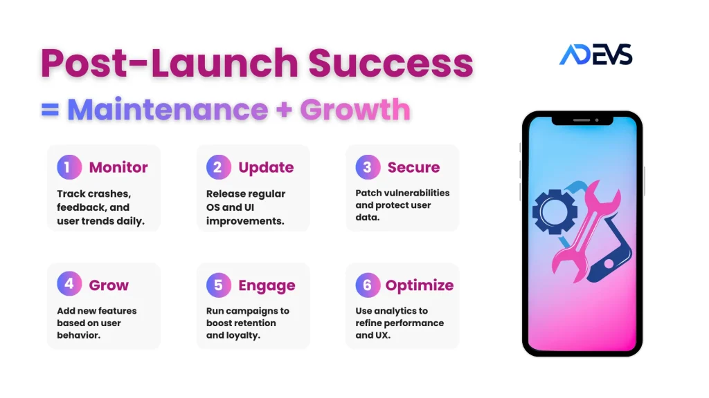 Post Launch Success Plan - Growth and Application Maintenance