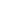 Big Data Processing