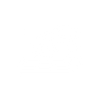 Security & Penetration Testing